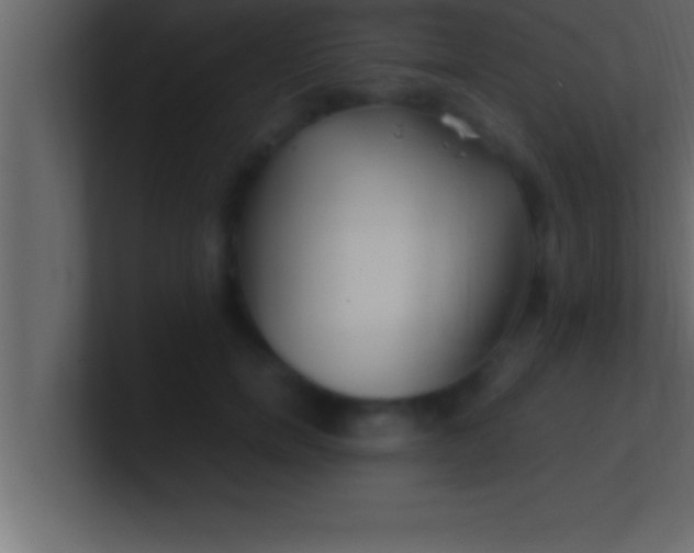 X0000100760750200807031149