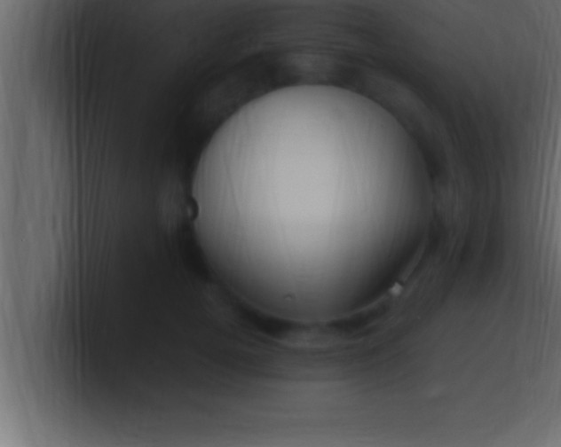 X0000100760752200807031149