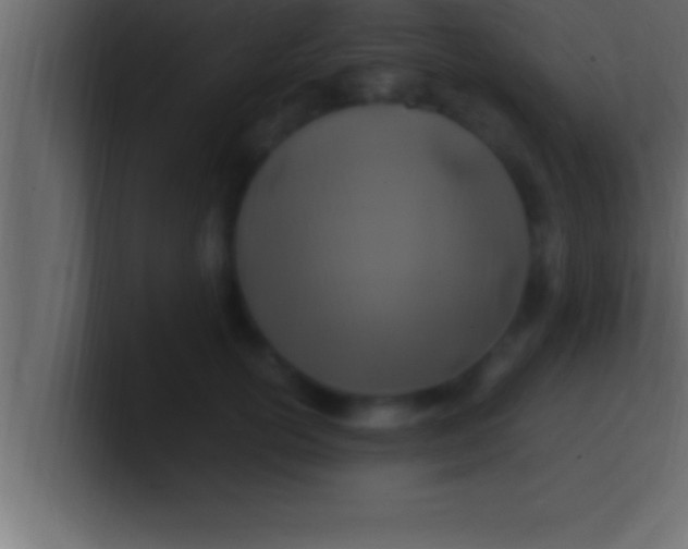 X0000100760754200807031149