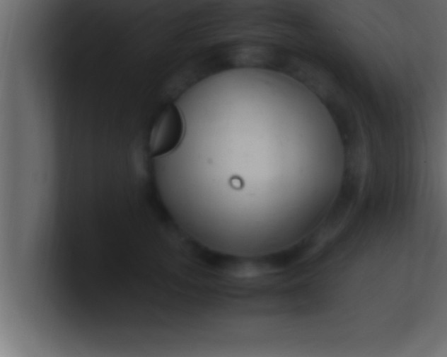 X0000100760755200807031149