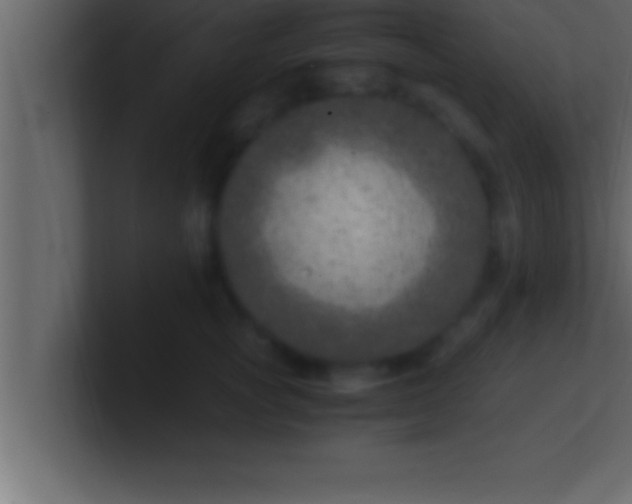 X0000100760757200807031149