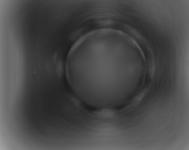 X0000100760758200807031149