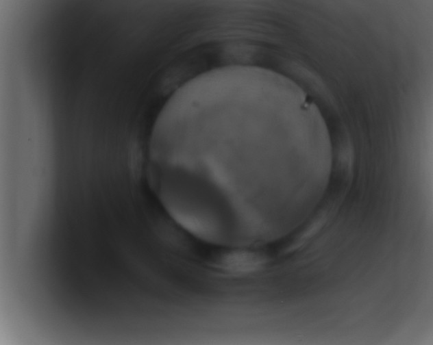 X0000100760759200807031149