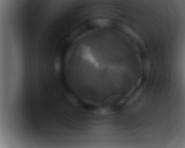 X0000100760760200807031149