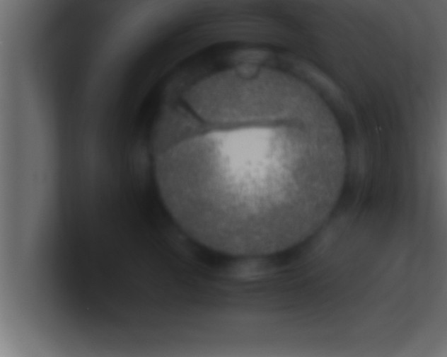 X0000100760761200807031149