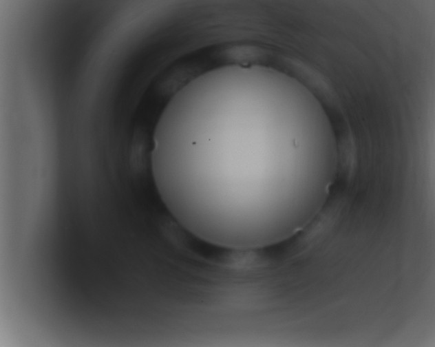 X0000100760762200807031149