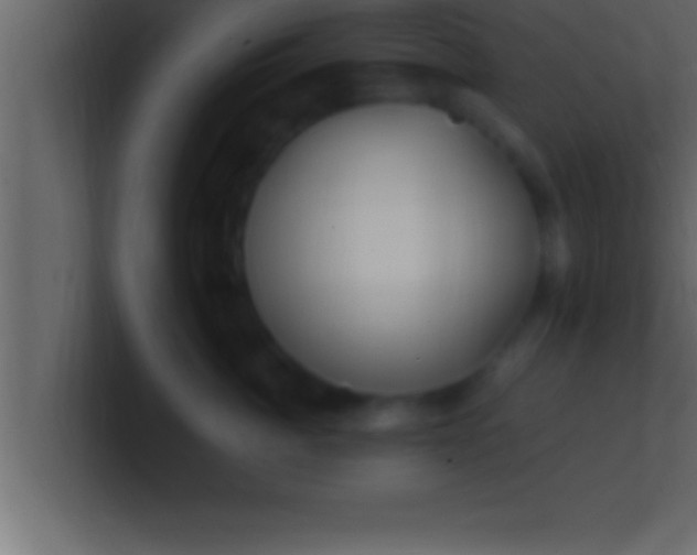 X0000100760764200807031149