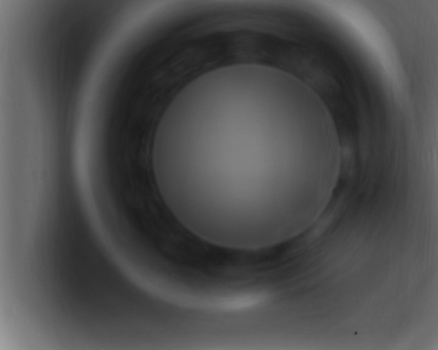 X0000100760765200807031150