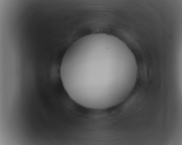 X0000100760770200807031149