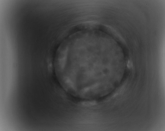 X0000100760771200807031149