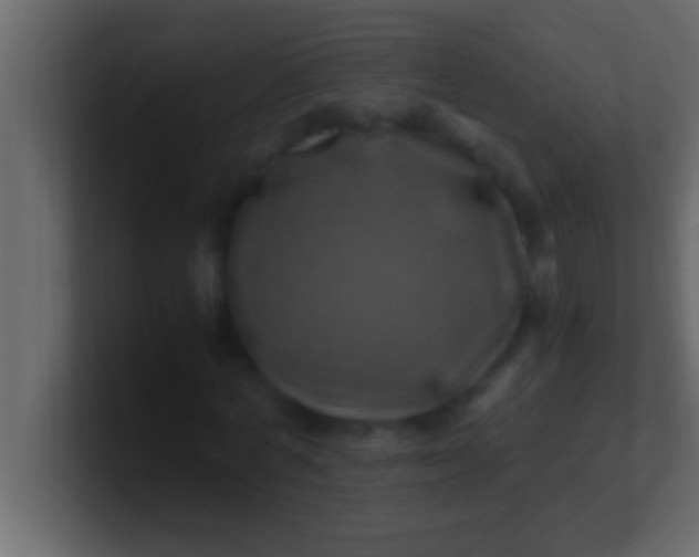 X0000100760772200807031149