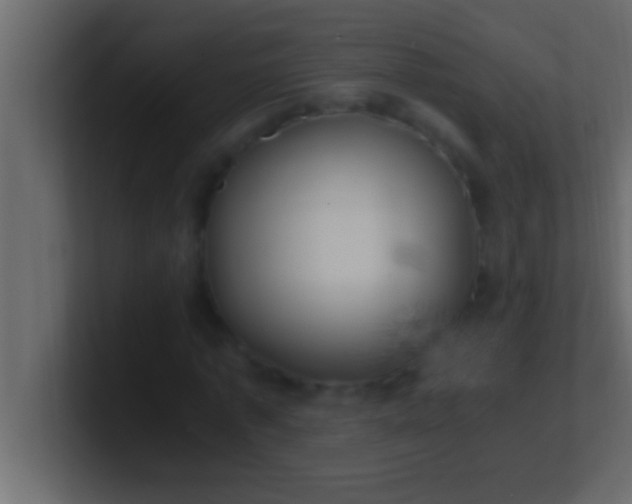 X0000100760773200807031149