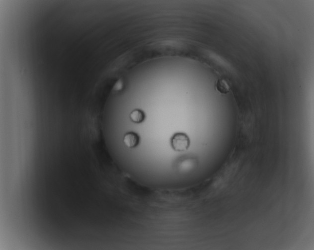 X0000100760774200807031149