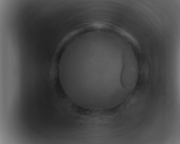 X0000100760776200807031149