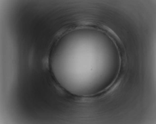 X0000100760777200807031149