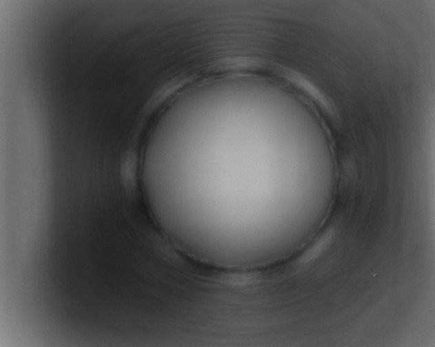 X0000100760778200807031149