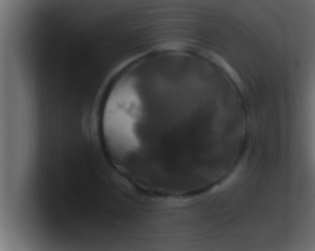 X0000100760779200807031149