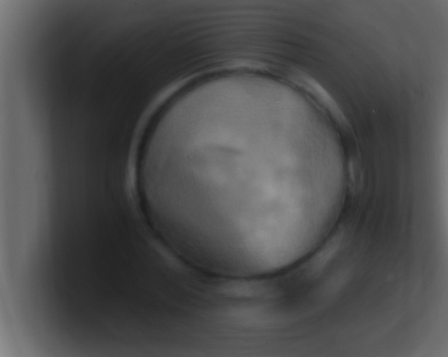 X0000100760780200807031149