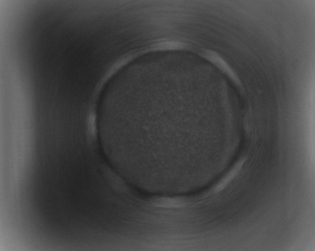 X0000100760781200807031149