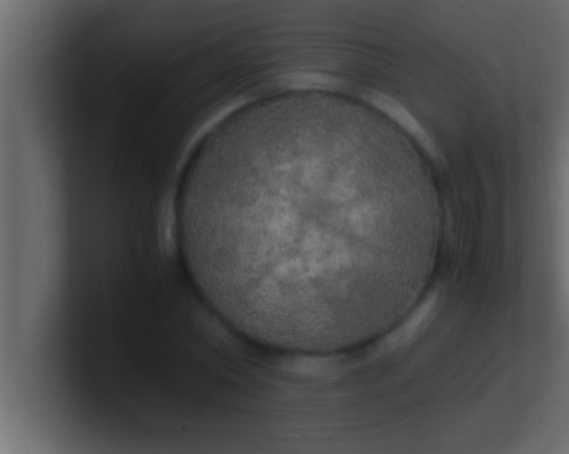 X0000100760782200807031149