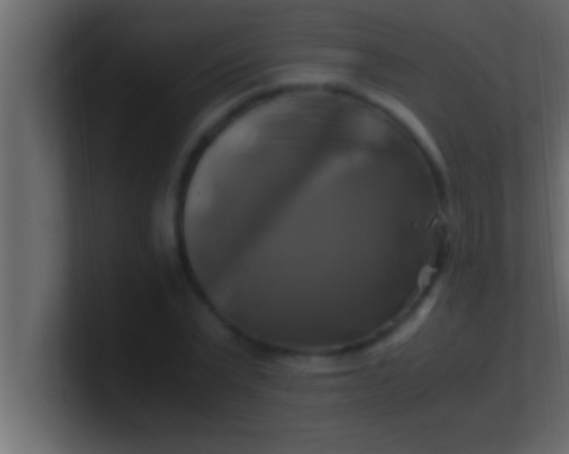 X0000100760783200807031149