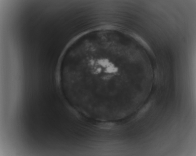 X0000100760784200807031149