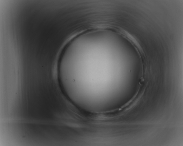 X0000100760787200807031149