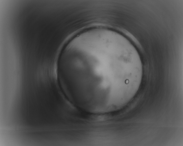 X0000100760791200807031149