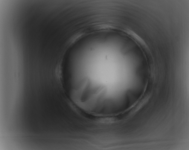 X0000100760793200807031149