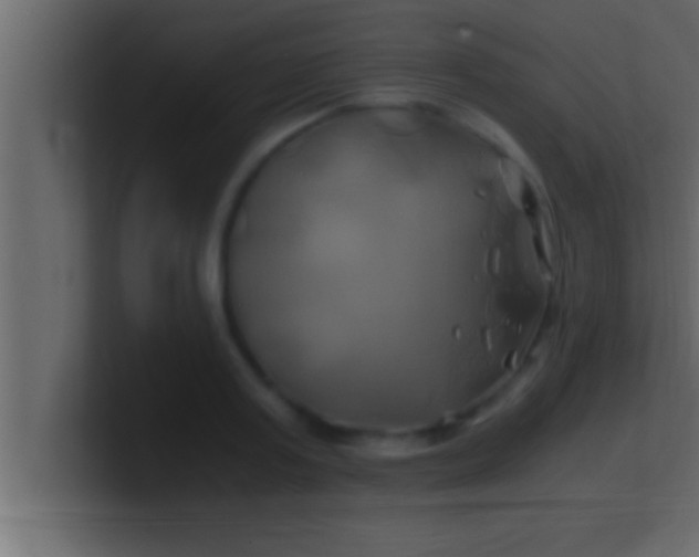 X0000100760795200807031149