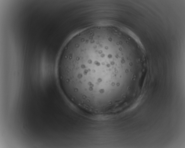 X0000100760803200807031148