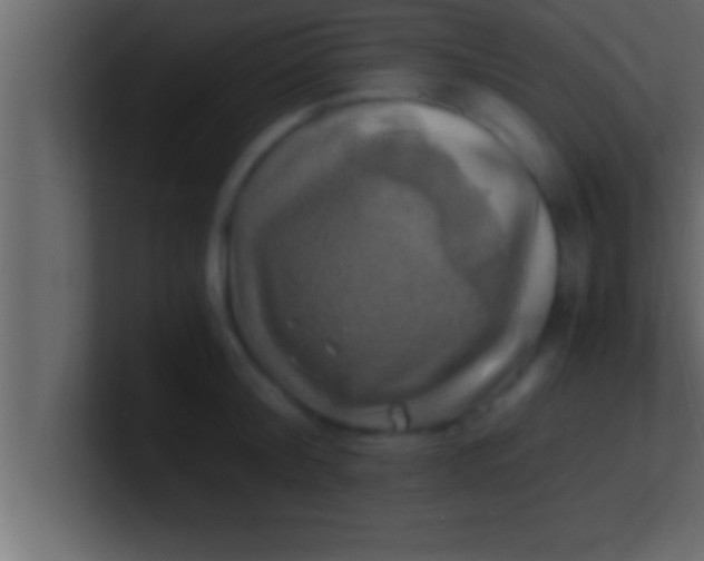 X0000100760804200807031148