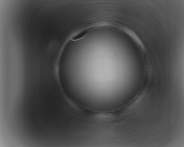 X0000100760805200807031148