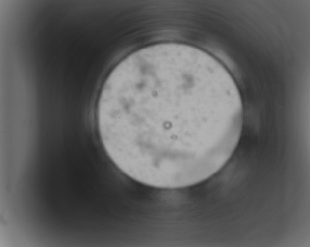 X0000100760807200807031148