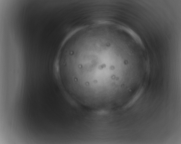 X0000100760814200807031148