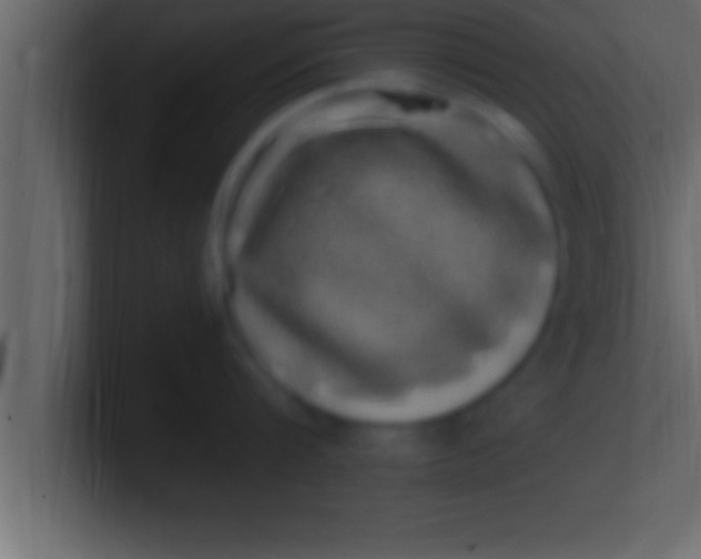 X0000100760816200807031148