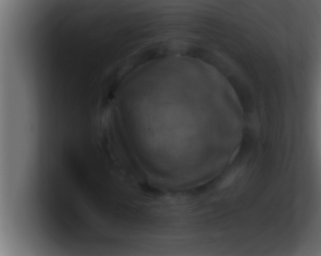 X0000100760818200807031148