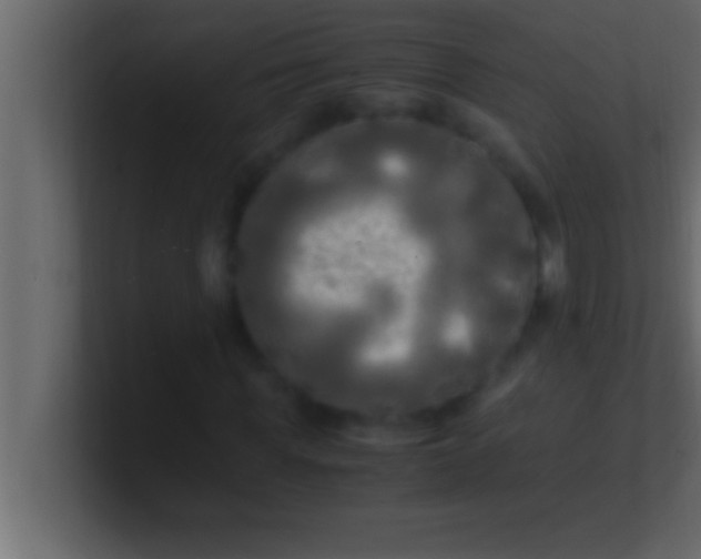 X0000100760819200807031148