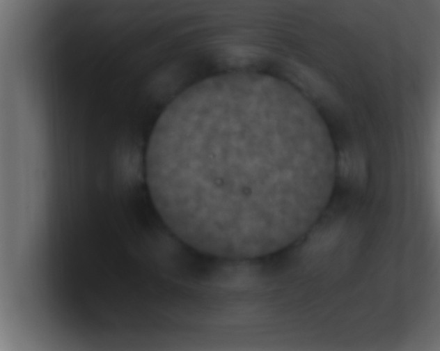 X0000100760820200807031148