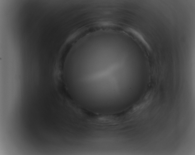 X0000100760823200807031148