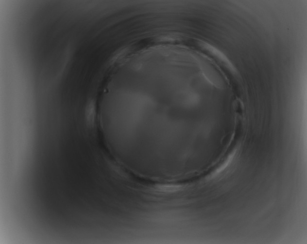 X0000100760825200807031148