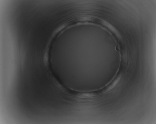 X0000100760826200807031148