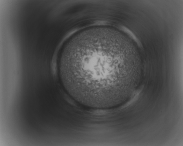 X0000100760827200807031148