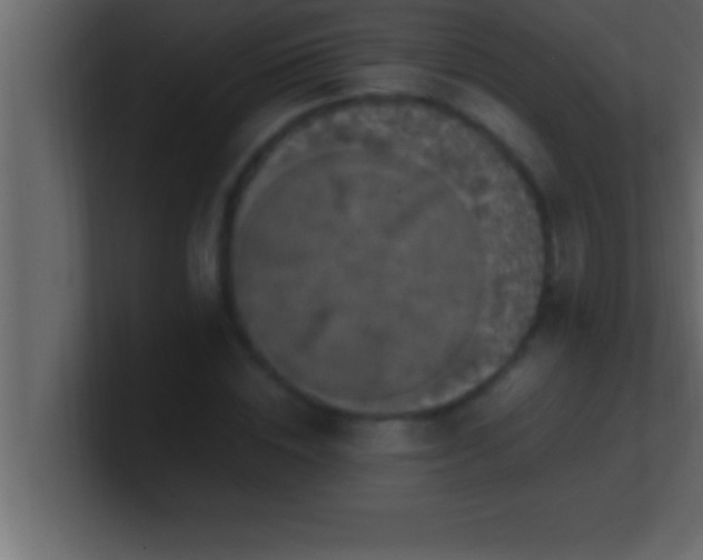 X0000100760828200807031148