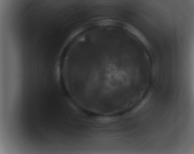 X0000100760829200807031148