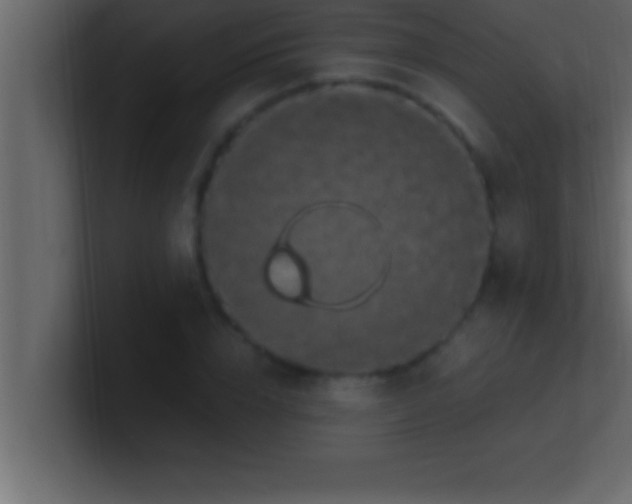 X0000100760832200807031148