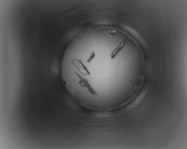 X0000100760833200807031148