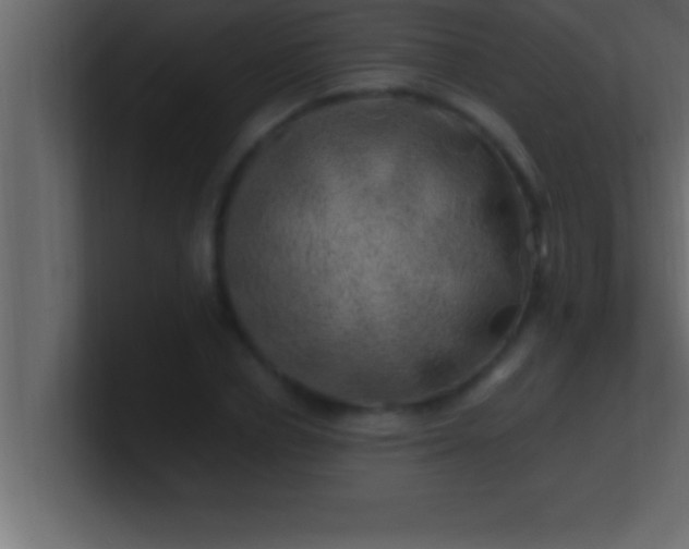 X0000100760834200807031148