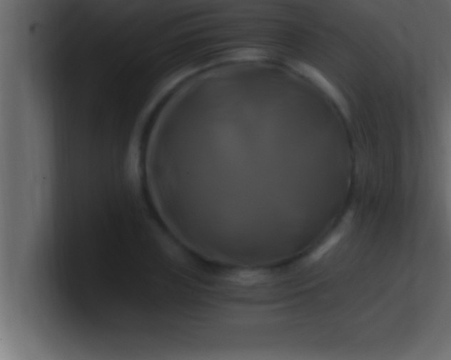 X0000100760835200807031148