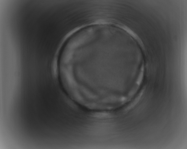 X0000100760838200807031148